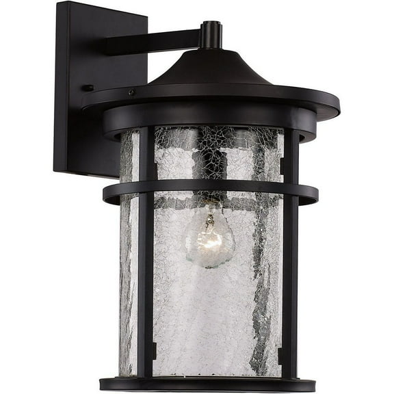 40381 BK-Trans Globe Lighting-Avalon - 9 Inch One Light Outdoor Wall Lantren-Black Finish