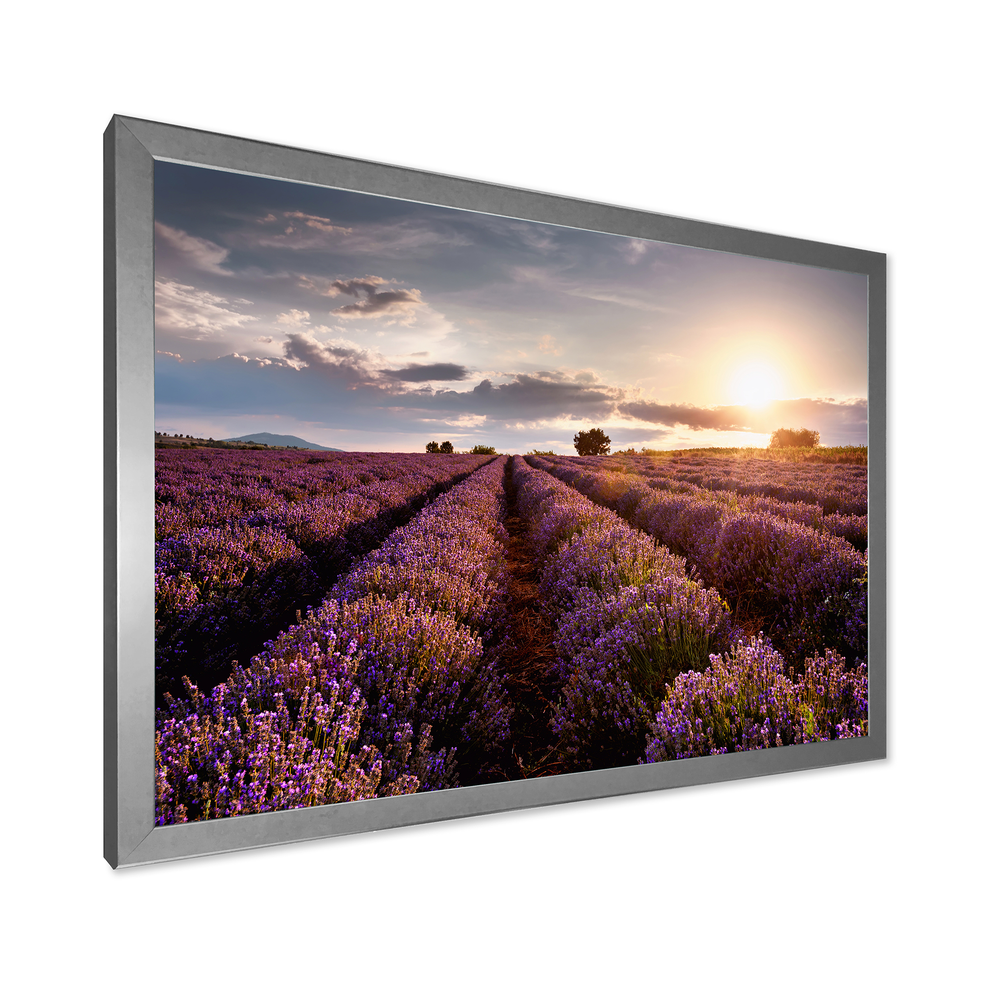 Designart 'Dramatic Clouds and Sunrise Over Lavender Field V' Farmhouse Framed Art Print
