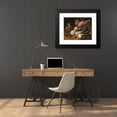 thumbnail image 4 of Jacob van de Kerckhoven 24x20 Black Modern Framed Museum Art Print Titled - A Fruit Still Life with a Brace of Duck, 4 of 5