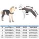 thumbnail image 3 of Camisa protectora ligera para perros - Diseño antilamida, poliéster transpirable - para la recuperación tras una lesión, uso en interiores/exteriores - Disponible en varias tallas, 3 of 6