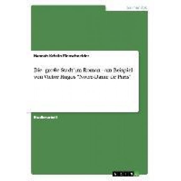 Die ,große Stadt' im Roman -  am Beispiel von Victor Hugos "Notre-Dame de Paris" [German]