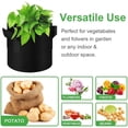 thumbnail image 4 of Paquete de 5 bolsas de cultivo de 10 galones, macetas de tela no tejida gruesa resistente con asas, bolsas de cultivo de plantas para verduras/flores/plantas/frutas, negro, 4 of 5