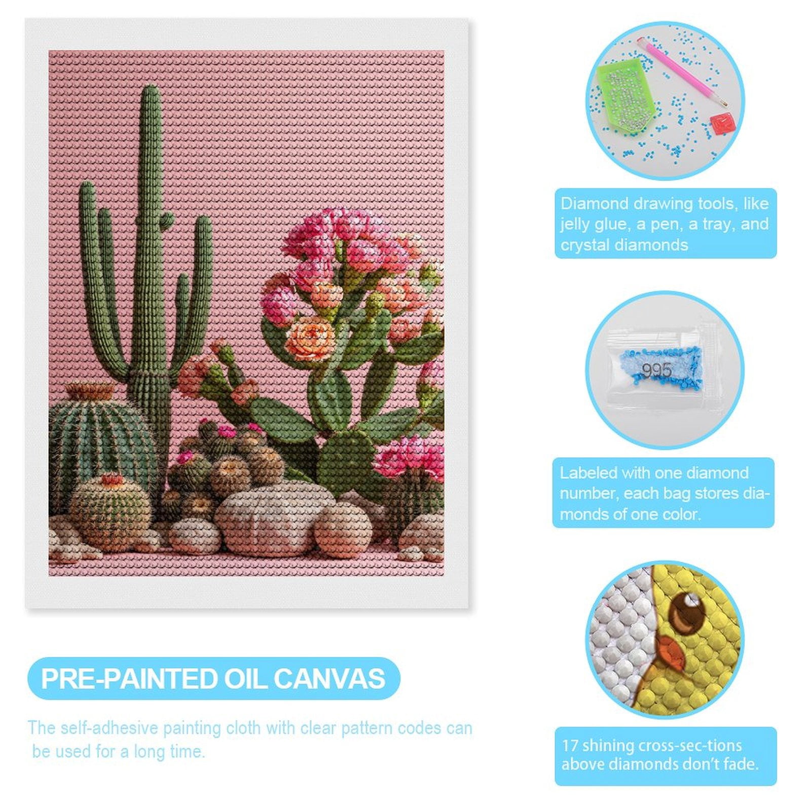 Diamond Art Kit for Adults, Pink Cactus Blossoms Desert Rocks Diamond Painting for Adults Beginners, 5D DIY Diamond Art Painting Kits, Colorful Diamond Painting Craft for Home Decor 12x16