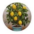 thumbnail image 4 of WYYP Lemons Round Tablecloth Waterproof 100% Polyester Fiber Great for Home Kitchen/Parties/Holiday Dinner White, 4 of 8