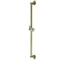 24 in. Showerscape Shower Slide Bar with Pin Mount Hook, Antique Brass