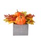 thumbnail image 2 of Bonsái de calabaza simulado para Acción de Gracias, Halloween, decoración de mesa para el hogar, 27,6 x 27,6 x 19 cm, base de madera naranja JASKFLY, 2 of 6