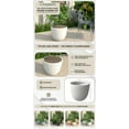 thumbnail image 7 of LeisureMod Dahlia Mid-Century Tapered Round Planter, Fiberstone & MgO Clay, Indoor/Outdoor Plant Pot, 7 of 7