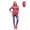 Style2, variant on Womens Superhero Costume Bodysuit Elastic Catsuit Full Body Zentai Suit with Mask for Cosplay Event Photoshoot