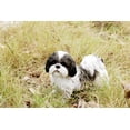 thumbnail image 7 of Hi-Line Gift Ltd. Black & White Standing Shih TZU, 7 of 7