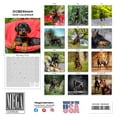 thumbnail image 3 of 2025 2026 Doberman Calendar - Dog Breed Monthly Wall Calendar - 12 x 24 Open - Thick No-Bleed Paper - Giftable - Academic Teacher's Planner Calendar Organizing & Planning - Made in USA, 3 of 9