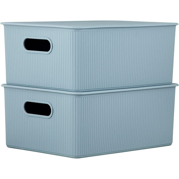 Superio 15L Medium Stone Blue Ribbed Storage Bin with Lid, Plastic (2 Pack)