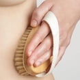thumbnail image 2 of QPENWEI 2 Pièces Brosse pour le corps de Massage, Brosse corporelle pour éliminer les peaux mortes, Utilisé pour améliorer circulation sanguine, réguler fonction lymphatique contre cellulite, 2 of 5