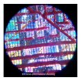 thumbnail image 3 of 100x Zoom Multifunction Microscope Loupe Adjustable Portable Led with Light Magnifier Mini Jewelry Pocket Handheld, 3 of 5
