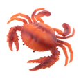 thumbnail image 4 of 2x langosta de cangrejo de plástico artificial, animales simulados para decoraciones hogar creativo CUTICAT Langosta cangrejo artificial, 4 of 8