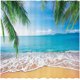 thumbnail image 1 of Cortina de ducha de playa tropical de 72" x 72", escena de playa de verano, isla oceánica, palmera, decoración de baño, cortina duradera para bañeras y duchas (ganchos no incluidos), 1 of 4