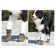 thumbnail image 4 of TRUELOVE Pet Shoes Waterproof Anti-slip for Puppy Medium and Large Dog Protect Pet Feet ArmyGreen Winter Snow 2/4pcs/set YS1891 ShopWise Round, 4 of 8