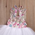 thumbnail image 3 of TheFound Robe d'Été pour Bébé Fille en Dentelle à Imprimé Floral avec Lien au Dos Robe TuTu, 3 of 9