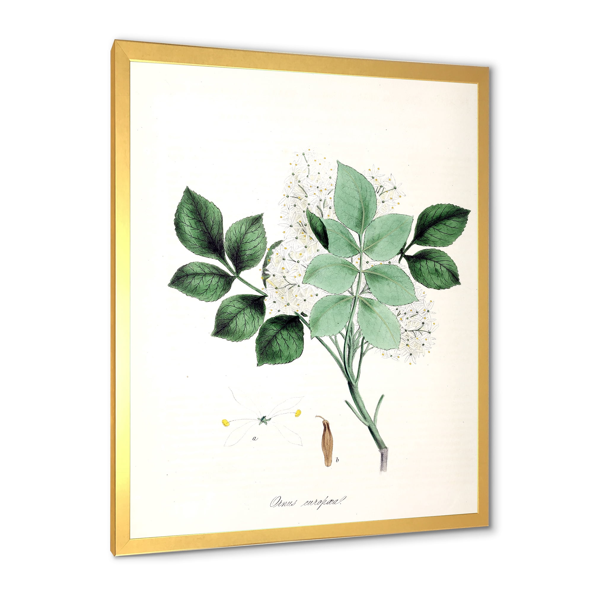 Designart 'Ancient Blossoming Flower IV' Farmhouse Framed Art Print
