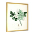 thumbnail image 2 of Designart 'Ancient Blossoming Flower IV' Farmhouse Framed Art Print, 2 of 4