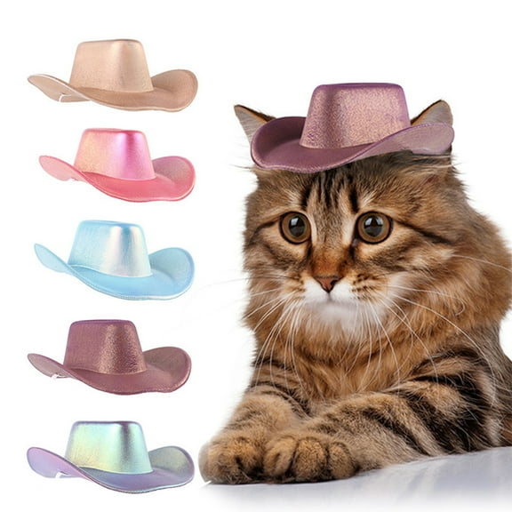 sunsanly Pet Cowboy Hat for Small Dog Cat Cosplay Cap Beach Visor Hat Puppy Costume Outdoor Party Accessory Photo Prop