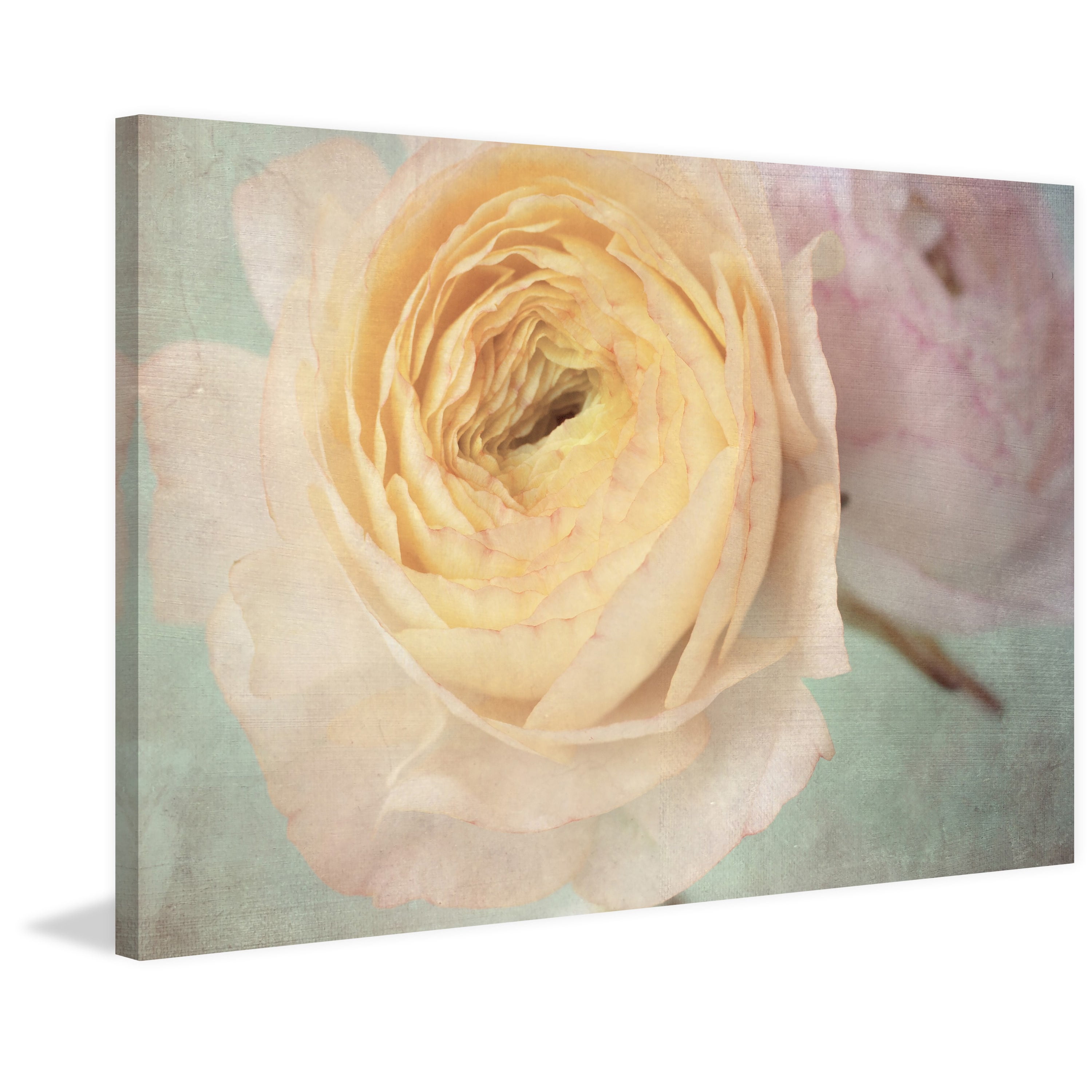 "Peach Ranunculus" Painting Print on Wrapped Canvas