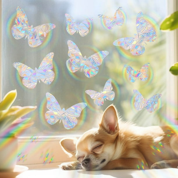 Pegatinas para ventanas de pájaros, pegatinas para ventanas, pegatinas coloridas para ventanas, pegatinas decorativas para ventanas, pegatinas para el hogar