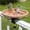 As Show(New), variant on Detachable Wrought Iron Bird Bath Feeder Courtyard Decorative Feeding Station