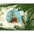 thumbnail image 2 of Carolines Treasures BB9357CO1 French Turkey Dindon Christmas Ceramic Ornament, 2 of 2