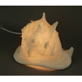 thumbnail image 2 of Zeckos White Faux Helmet Shell Decorative Coastal Art Accent Lamp, 2 of 4
