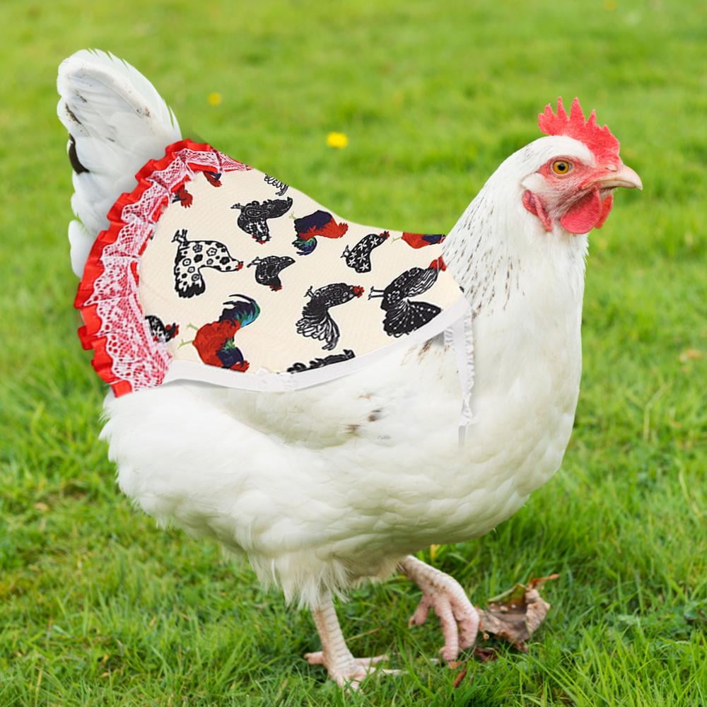 Chicken Saddle Apron Hens  Jacket  Poultry 3+1 free 