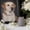 #128Gray, variant on Sealed Pet Cremation Urn 6.3 Inch for Ashes and Hair, Stone Material Sturdy Rust Resistant, Medium Memorial Jar for Dogs and Cats Remembrance Tribute