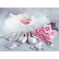 thumbnail image 2 of Frank, Assaf 18x15 White Modern Wood Framed Museum Art Print Titled - Ballet shoes and skirt, 2 of 4