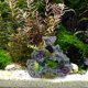 thumbnail image 4 of Hytrove Complemento Decorativo De Coral Artificial En Resina Para Paisaje Y En Peceras, 4 of 6