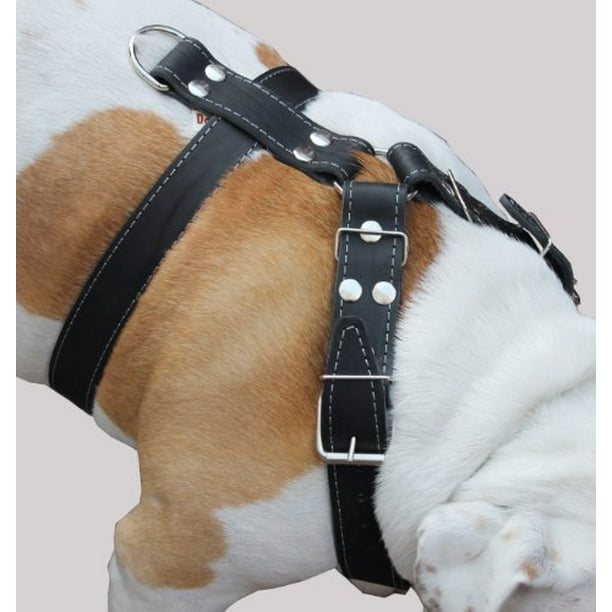Black Genuine Leather Dog Harness, Large to XLarge. 35"39" Chest, 1.5