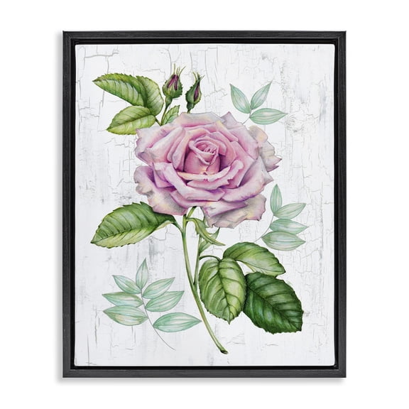 Stupell Industries French Country English Manor Rose Black Floating Frame Canvas Art, 17 x 21, by Levison Design