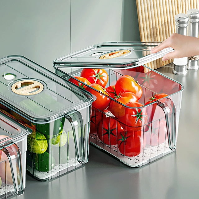 Airtight Food Storage Container With Handle Plastic Freezer Organizer Bento Box For Kitchen Pantry Singles
