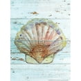 thumbnail image 2 of Nobleworks, Inc. 12x14 Gold Ornate Wood Framed with Double Matting Museum Art Print Titled - Seashell 1, 2 of 4