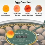 BN-LINK 52 Egg Incubator with Automatic Egg Turning and Temperature Control, Smart Egg Incubator with Humidity Display, LED Candler & Sink, Hatching Chicken Duck Quail Bird