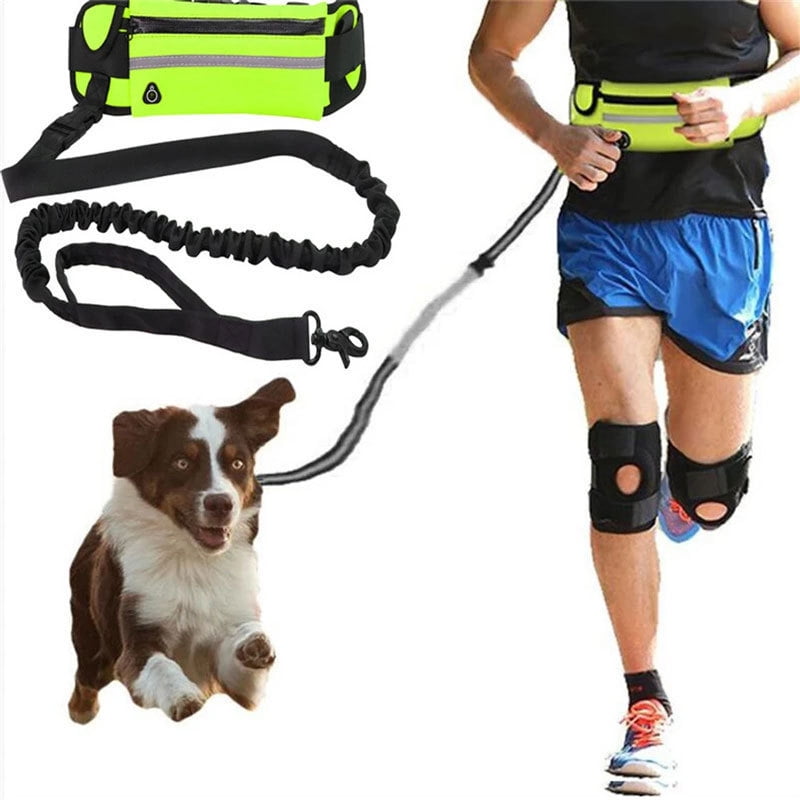 Hands‑free waist mounted retractable dog leash portable pet traction belt for running hiking and outdoor sports fluorescent green 1 pack