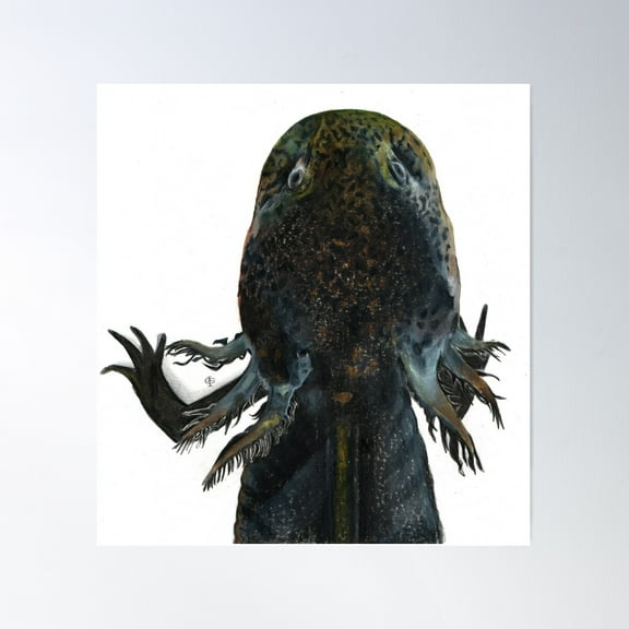 Axolotl Poster, 8x12 UNFRAMED