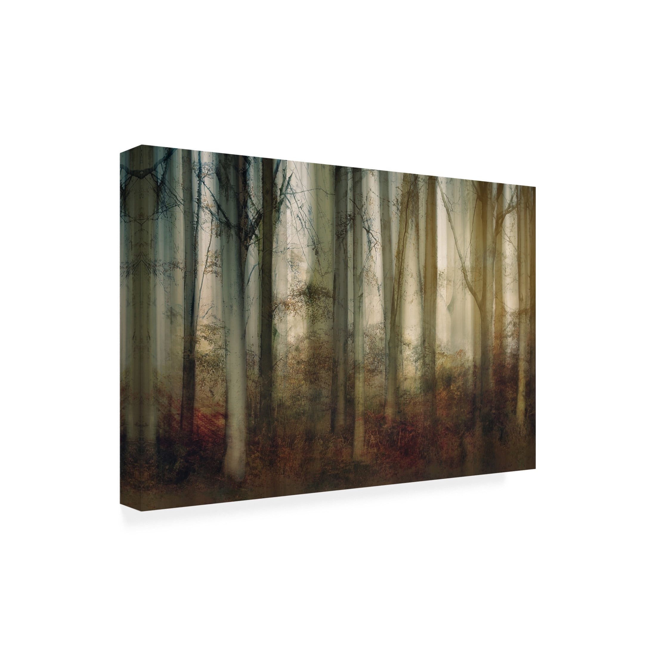 Trademark Fine Art Nel Talen Autumn Light Canvas Wall Art