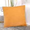 thumbnail image 6 of Unique Bargains 2Pcs Viscose Velvet Soft Throw Decorative Pillowcases 18" x 18" Pumpkin, 6 of 8