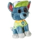 thumbnail image 1 of TY 41212 Rocky Dog-Paw Patrol-Reg, Multicolor, 15cm, 1 of 3