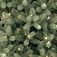 thumbnail image 2 of National Tree Company 6.5 ft. Downswept Douglas® Blue Fir Tree with Clear Lights, 2 of 3