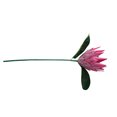 thumbnail image 3 of Tela de seda Flor falsa Oficina en casa Decoración floral Fiesta Ceremonia Flor artificial Fotografía Prop, Morado Advancent HA6650-04B, 3 of 6