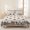 Beige, variant on 3 Pieces Queen Quilt Set,Pink Conch Coral Shell Starfish Soft Bedding Sets with 1 Quilt & 2 Pillow Shams,Watercolor Marine Life Summer Bedspread Lightweight Coverlet Comforter for All Season