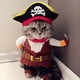 thumbnail image 4 of Disfraz de perro mascota Piratas del Caribe Styl perro Jeans ropa gato divertido traje de apariencia uniforme, 4 of 6
