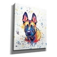 thumbnail image 2 of Epic Graffiti 'Colorful Watercolor Belgian Malinois' by Furbaby Affiliates, Canvas Wall Art, 26"x30", 2 of 8