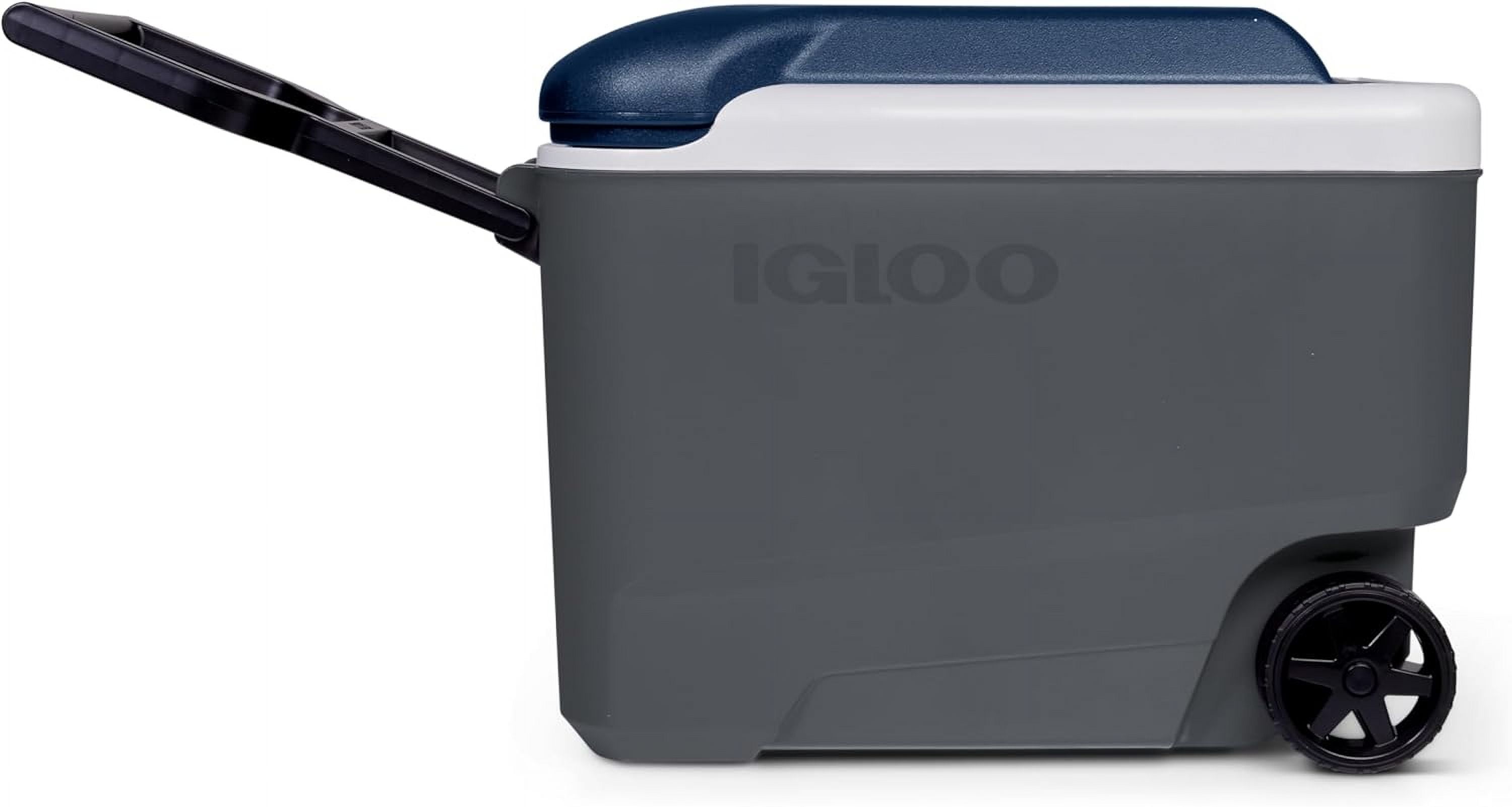 Igloo Maxcold 40 Roller (Ash Gry.Wht.Aegean Sea.Blk) 00034814, 38 Litre