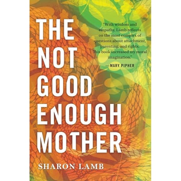 Pre-Owned The Not Good Enough Mother (Hardcover) 0807082465 9780807082461